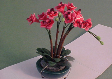 Pink Orchid Arrangements